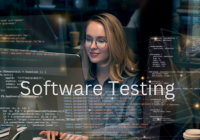 Software Testing Job