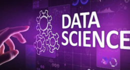 Data Science job